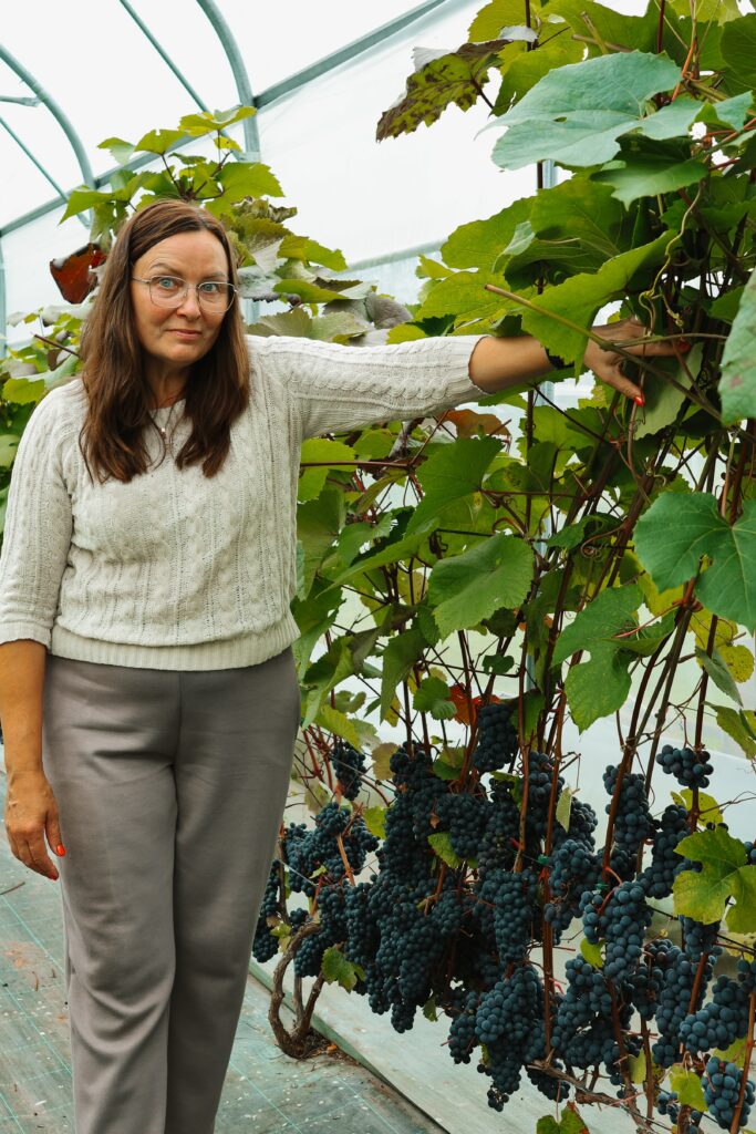 Kersti Seeme standing beside a grapevine bearing dark grapes in a polytunnel